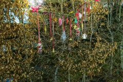 5. Dezember, Römerstrasse 12a