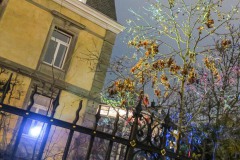 17. Dezember, Römerstrasse 20